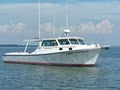 Diamond Fishing Charters image 2