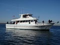 Dorothy B. Fishing Party Boat image 7