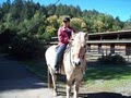 Dougherty Ranch Horse Boarding, Lessons & Training image 4