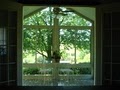 Dream Sunrooms and Windows image 2