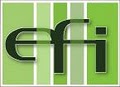EFI logo