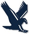 Eagle Professional Group logo
