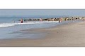 Edisto Beach State Park: Camping Registration image 2