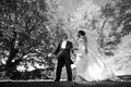 Elegant Creations - Wedding and Event Planning image 1