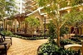Embassy Suites Chicago - Lombard/Oak Brook image 8