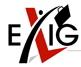 Exigent Group logo