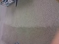 Far Superior Carpet Care image 2