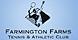 Farmington Farms Tennis image 1