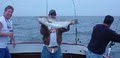 First In Fishing Charters - Baltimore image 2