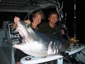 Fishing Charters Miami image 3