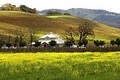Five Star Limousine Wine Tours and Transportation image 5