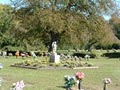 Greenlawn Memorial Gardens image 2
