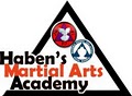 Habens Martial Arts Academy image 2