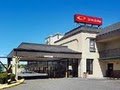 Hampton Inn Newark-Airport image 8