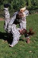 Hand to Hand Combat Training Center image 7