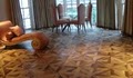 Hardwood Floors -  West Hollywood image 6