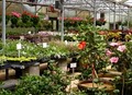 Harwell's Green Thumb Nursery image 2