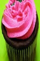 Holy Cow, Cupcakes! image 2