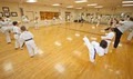 House of the Samurai Karate Jutsu image 3