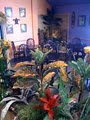 Hulaville Island Cafe & Company Store image 10