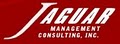 Jaguar Management Consulting, Inc image 4