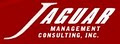 Jaguar Management Consulting, Inc logo