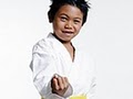 Jerry Hansman's Karate USA image 2