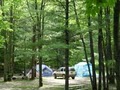 Kalkaska RV Park & Campground image 4