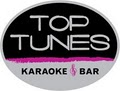 Karaoke Top Tunes image 2