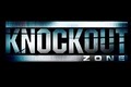 Knockout Zone - MMA GYM - Jiujitsu, Muay Thia Miami, Mixed Martial Arts logo