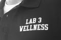 Lab 3 Wellness image 1