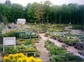 Lake Street Garden Center LLC image 6
