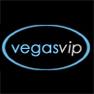 Las Vegas Bottle Service VIP Bachelor Party logo