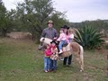 Little Buckaroo Ranch image 5