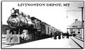 Livingston Depot Center logo