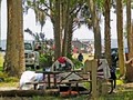 Manatee Hammock Campground image 2