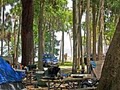 Manatee Hammock Campground image 3
