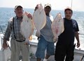 Marilyn Jean IV Brooklyn NY Party Fishing Boat image 8