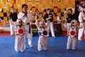 Master Yoo's World Class Tae Kwon Do image 3