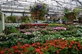 Merrifield Garden Center image 3