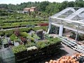 Merrifield Garden Center image 8
