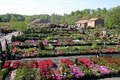 Merrifield Garden Center image 9