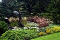 Montrose Lawn & Landscape image 1