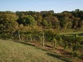Morgan Creek Vineyards and Winery image 5