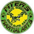 Myers Martial Arts logo