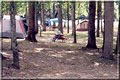 Natural Bridge Koa Campground image 2