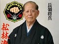 Okinawan Shorin-ryu Karate-Do, Orlando image 2