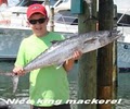Orange Beach Fishing with Getaway Charters logo