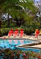 Orlando Airport Marriott image 5