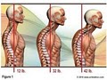 Palser Chiropractic and Massage Therapy image 2